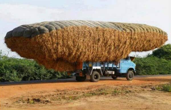 redneck-hay-truck.jpg