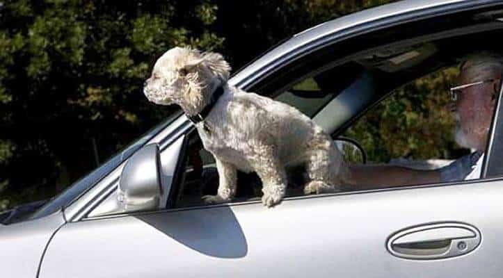 Helpful Car Hacks 22