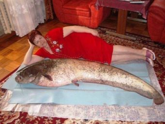 weird russian pictures