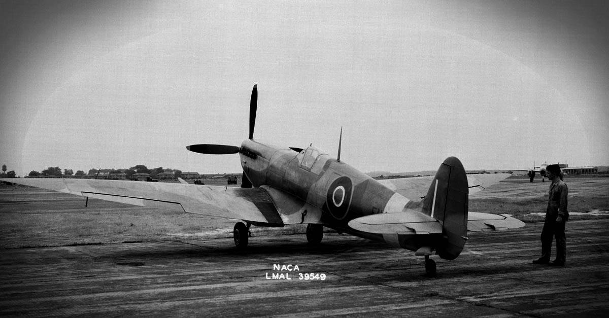 Supermarine Spitfire-Supermarine Spitfire HF VII back angle