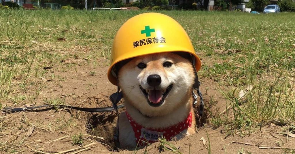 hole_inspector
