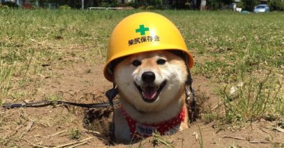 hole_inspector