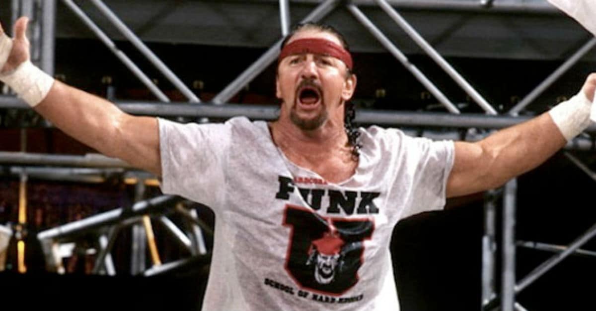 Terry Funk Wrestler