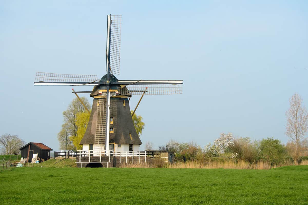 A Windmill in Amsterdam(Air BnB)