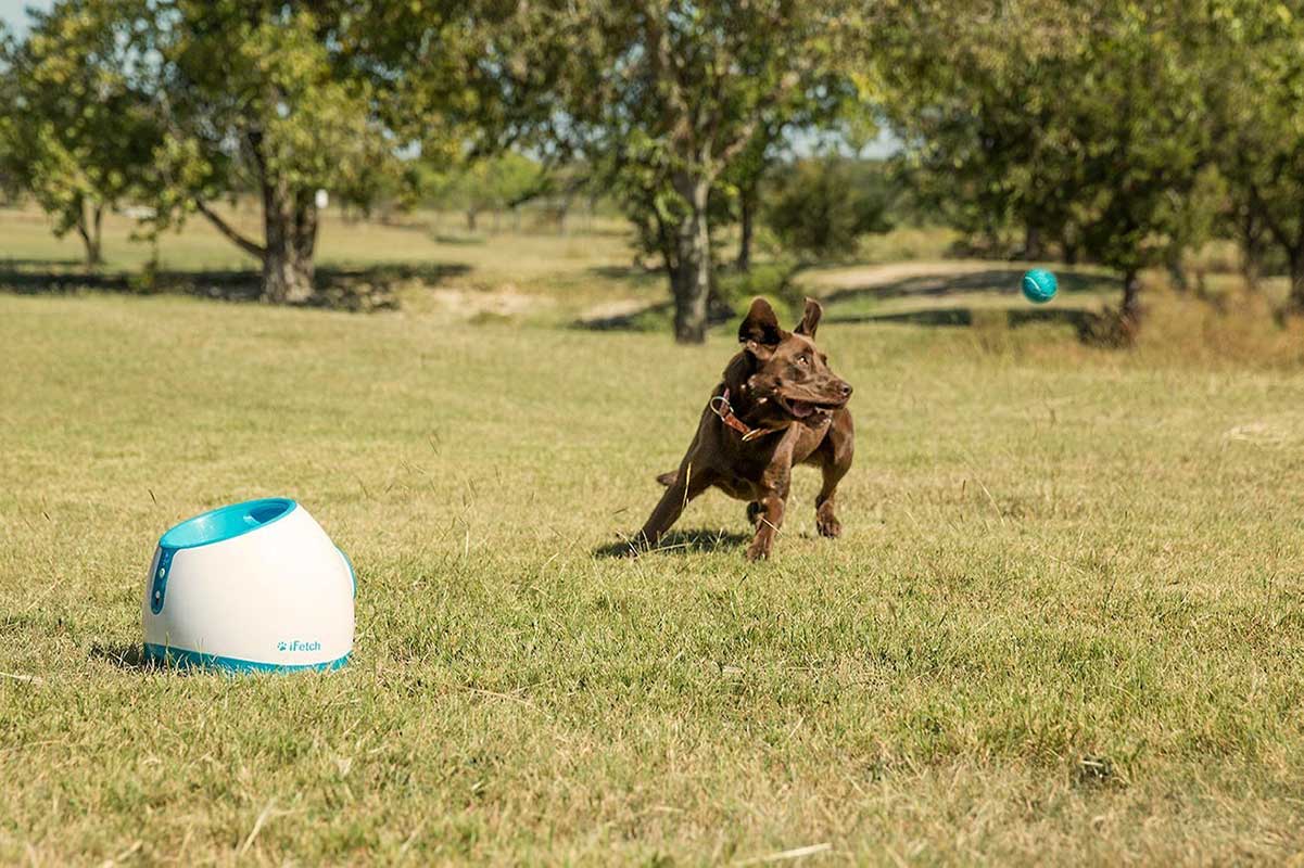 iFetch Interactive Ball Launchers for Dogs(iFetch)